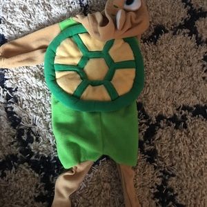 Turtle costume